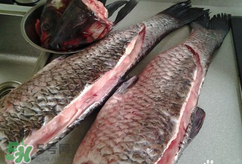 新鮮魚怎么腌制咸魚塊？咸魚塊怎么腌制