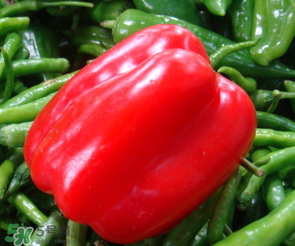 辣椒變紅能吃嗎？辣椒為什么會變紅？
