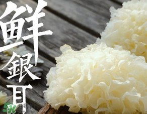 新鮮銀耳有毒嗎？新鮮銀耳怎么去毒？