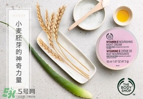 the body shop維e晚霜怎么用？美體小鋪維e晚霜使用方法