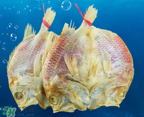 咸魚(yú)怎么保存？咸魚(yú)可以放冰箱嗎？