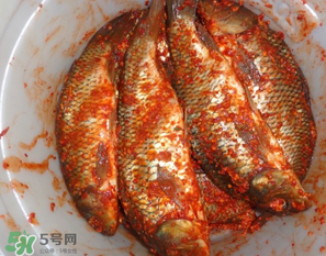 腌魚有亞硝酸鹽嗎？腌魚多久產生亞硝酸鹽？