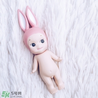 sonny angel是男孩還是女孩？sa是男孩嗎？