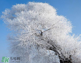 2017年第一場雪什么時候？2017年什么時候下雪？