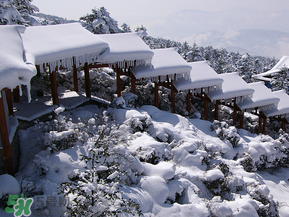 2017年第一場雪什么時候？2017年什么時候下雪？