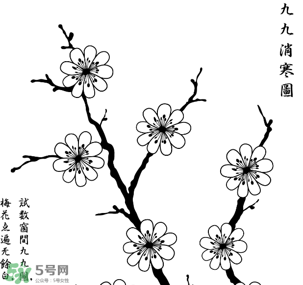 數(shù)九天什么時(shí)候最冷？數(shù)九天幾九最冷？