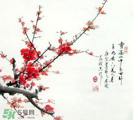 數(shù)九天什么時(shí)候最冷？數(shù)九天幾九最冷？