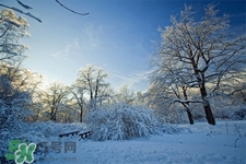 2017年過(guò)年天氣怎么樣？2017過(guò)年會(huì)下雨嗎？