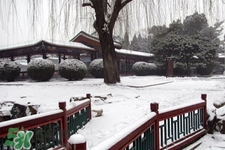 2017年過年會下雪嗎？2017年過年天氣情況