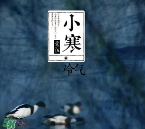 小寒和大寒哪個冷？小寒大寒什么意思？