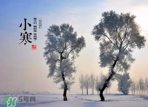 小寒和大寒哪個冷？小寒大寒什么意思？