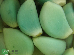 臘八醋里的蒜能吃嗎？臘八醋里的蒜好吃嗎？