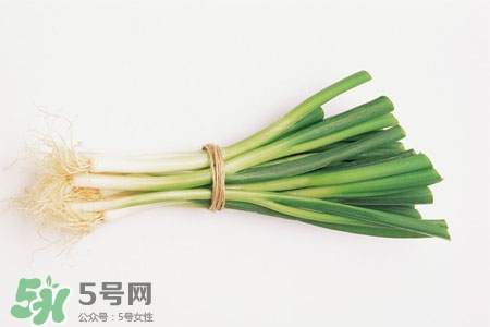 2017過年大蔥會漲價(jià)嗎？2017年春節(jié)大蔥價(jià)格預(yù)測