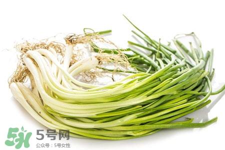 2017過年小蔥會(huì)漲價(jià)嗎？2017年春節(jié)小蔥價(jià)格預(yù)測(cè)