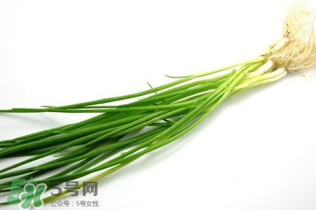 2017過年小蔥會(huì)漲價(jià)嗎？2017年春節(jié)小蔥價(jià)格預(yù)測(cè)