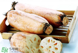 蓮藕多少錢一斤？蓮藕多少錢一斤2017？