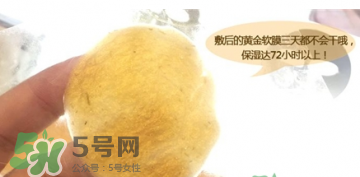 shangpree香蒲麗黃金面膜怎么樣？好用嗎？