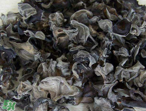 干木耳泡多久可以吃？干木耳泡了兩天還能吃嗎？
