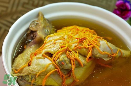 蟲(chóng)草花怎么吃？蟲(chóng)草花的吃法用量