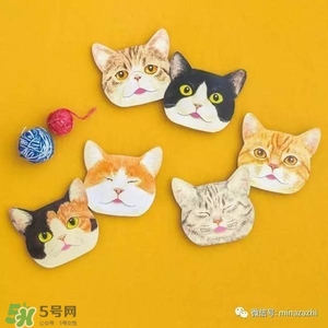 felissimo貓爪化妝棉多少錢？felissimo貓爪化妝棉哪里買？