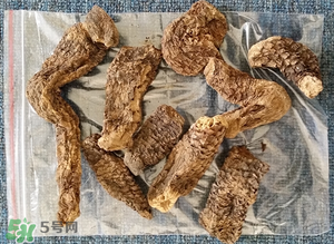 野生肉蓯蓉多少錢一斤？肉蓯蓉價(jià)格一斤多少錢？