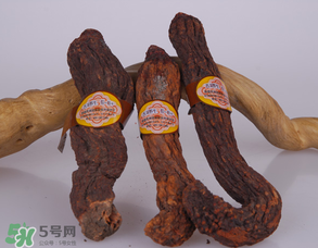 鎖陽(yáng)和肉蓯蓉一起泡酒可以嗎？肉蓯蓉和鎖陽(yáng)的區(qū)別