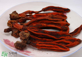 回春草有什么功效？回春草的功效與作用 