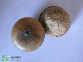風流果多少錢一斤？風流果的價格