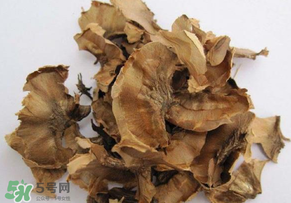 分心木真的能治失眠嗎？分心木治療失眠有奇效