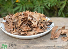 分心木真的能治失眠嗎？分心木治療失眠有奇效