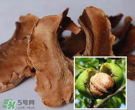 核桃分心木能長期喝嗎？核桃分心木一天喝幾次？