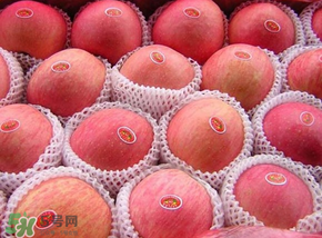 阿克蘇蘋果脆嗎？阿克蘇蘋果是粉蘋果還是脆蘋果？