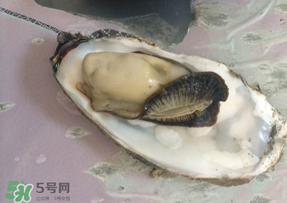 生蠔多少錢一斤？生蠔一斤有幾個？