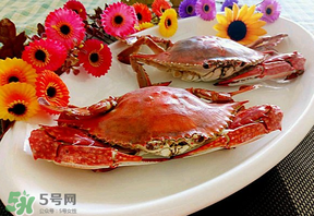 臘月吃什么蟹？臘月吃公蟹還是母蟹？