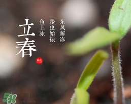 立春吃什么蔬菜？立春時(shí)令蔬菜推薦