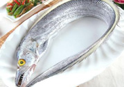 帶魚多少錢一斤？帶魚多少錢一箱？
