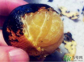 橘子烤著吃會(huì)上火嗎？烤橘子上火嗎？