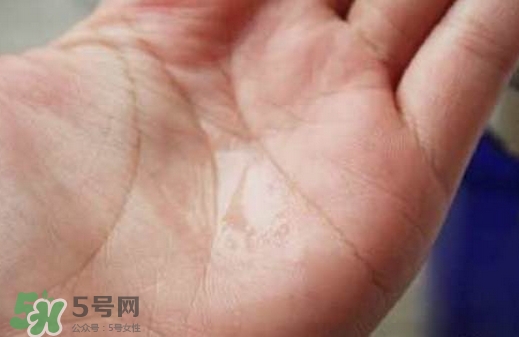 美容液是化妝水嗎？美容液和化妝水的區(qū)別