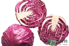 紫甘藍是轉(zhuǎn)基因食品嗎？紫甘藍是轉(zhuǎn)基因蔬菜嗎？