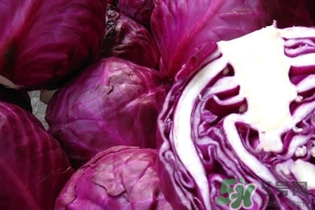 紫甘藍是轉(zhuǎn)基因食品嗎？紫甘藍是轉(zhuǎn)基因蔬菜嗎？