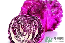 涼拌紫甘藍(lán)用焯水嗎？紫甘藍(lán)涼拌需要焯水嗎？
