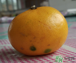 橘子皮發(fā)霉可以吃嗎？吃了發(fā)霉的橘子怎么辦？