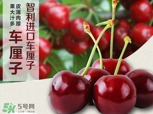 車?yán)遄恿验_能吃嗎？車?yán)遄訛槭裁磿验_？