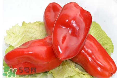如何挑選紅椒？紅椒怎么挑選？