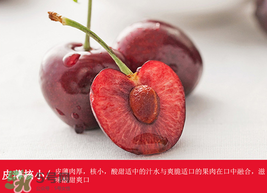 車厘子哪里產(chǎn)的最好？車厘子產(chǎn)地在哪里？