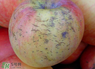 蘋(píng)果裂紋能吃嗎？蘋(píng)果裂紋是怎么回事？