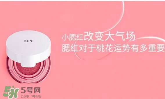 iope氣墊腮紅怎么用？iope亦博氣墊腮紅使用心得