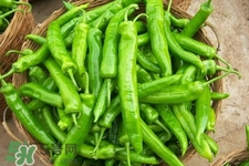 吃尖椒有什么好處？吃尖椒有身體10大好處