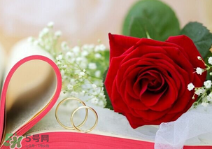 情人節(jié)送什么顏色的玫瑰花好？情人節(jié)送幾朵玫瑰花好？