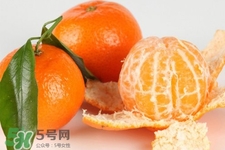 沙糖桔是熱性的嗎？沙糖桔是熱性還是涼性？